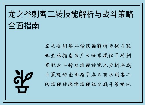 龙之谷刺客二转技能解析与战斗策略全面指南